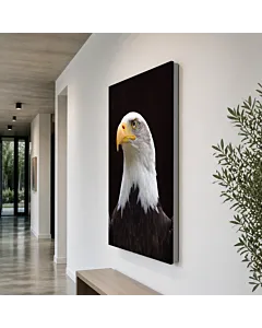 ÁGUILA REAL