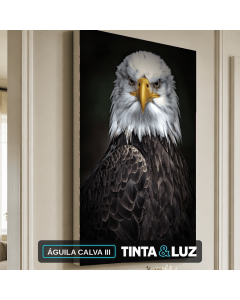 ÁGUILA CALVA III