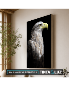 ÁGUILA CALVA RETRATO II