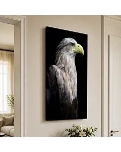 ÁGUILA CALVA RETRATO II