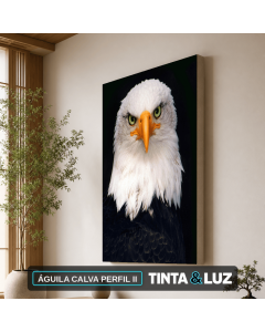 ÁGUILA CALVA PERFIL II