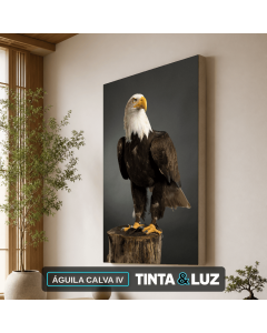 ÁGUILA CALVA IV