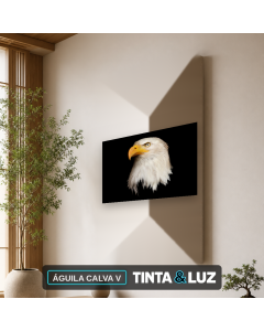 ÁGUILA CALVA V