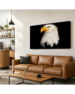 ÁGUILA CALVA V