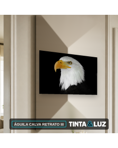ÁGUILA CALVA RETRATO III