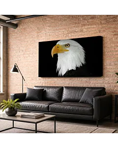 ÁGUILA CALVA RETRATO III
