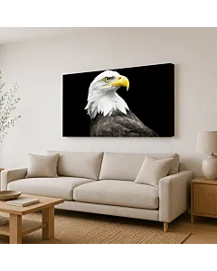 ÁGUILA CALVA POSADA II