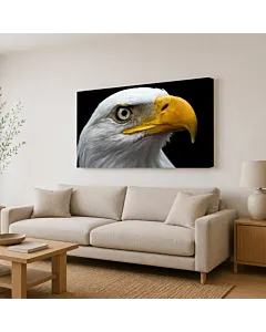 ÁGUILA CALVA VI