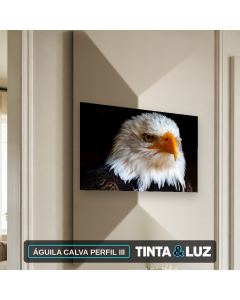 ÁGUILA CALVA PERFIL III