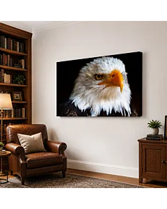 ÁGUILA CALVA PERFIL III