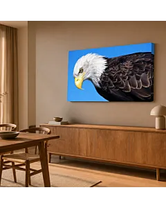 ÁGUILA CALVA RETRATO IV