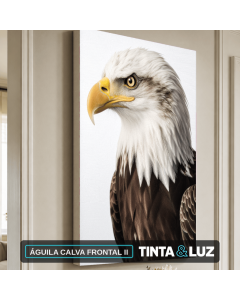ÁGUILA CALVA FRONTAL II
