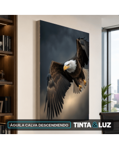 ÁGUILA CALVA DESCENDIENDO