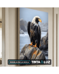ÁGUILA EN LA ROCA