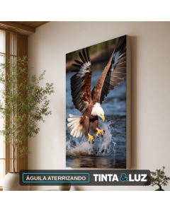 ÁGUILA ATERRIZANDO