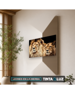 LEONES EN LA HIERBA