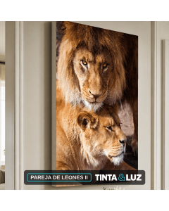 PAREJA DE LEONES II