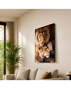 PAREJA DE LEONES II