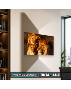 PAREJA DE LEONES III