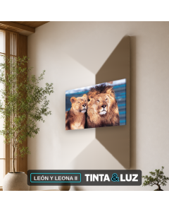 LEÓN Y LEONA II