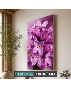 FLOR VIOLETA