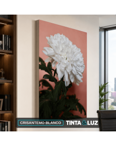 CRISANTEMO BLANCO