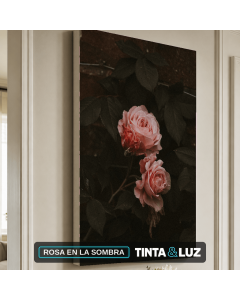 ROSA EN LA SOMBRA