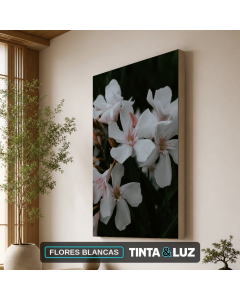 FLORES BLANCAS