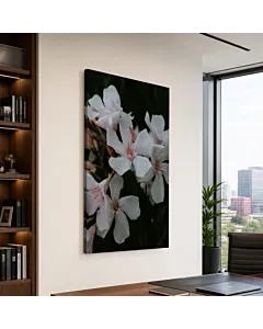 FLORES BLANCAS