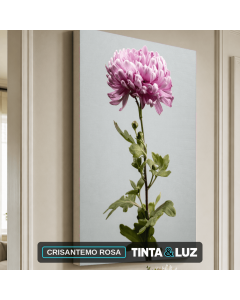 CRISANTEMO ROSA