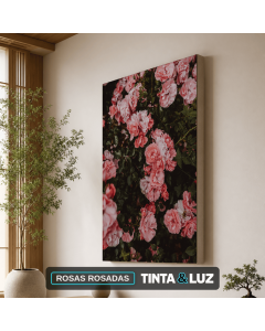 ROSAS ROSADAS