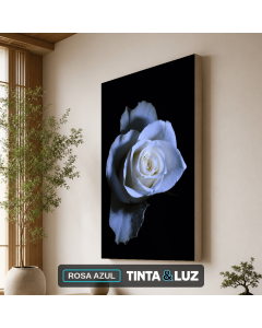 ROSA AZUL
