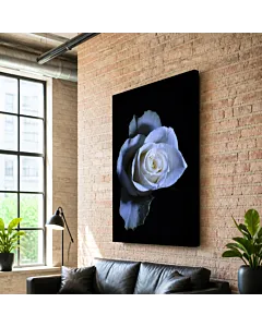 ROSA AZUL