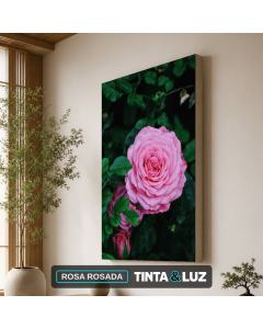 ROSA ROSADA
