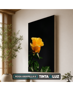 ROSA AMARILLA II