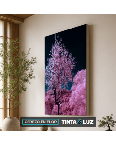 CEREZO EN FLOR