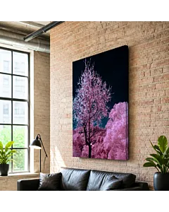 CEREZO EN FLOR