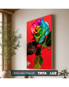 ROSA MULTICOLOR