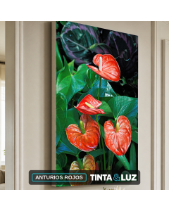 ANTURIOS ROJOS