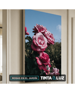 ROSAS EN EL JARDÍN