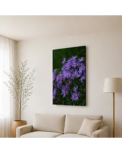 FLORES VIOLETAS