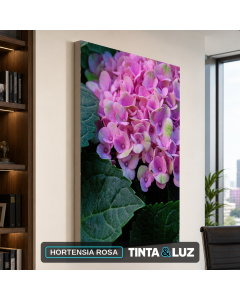 HORTENSIA ROSA