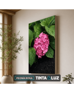 PEONÍA ROSA