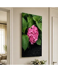 PEONÍA ROSA