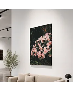 FLORES BLANCAS