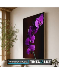 ORQUÍDEA VIOLETA