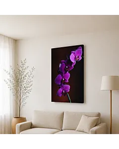 ORQUÍDEA VIOLETA