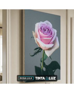 ROSA LILA