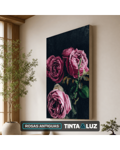 ROSAS ANTIGUAS