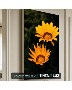 GAZANIA AMARILLA